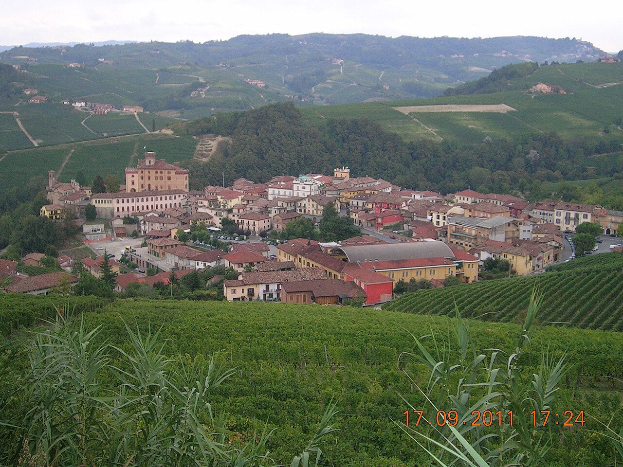 Barolo im Piemont mit Nebbiolo-Weinbergen