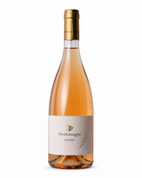 Vino Rosato (Ruchè) "Neonà" – freigestellte Produktabbildung